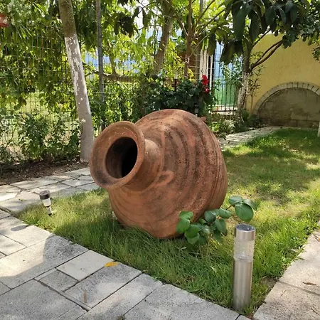 Elpida